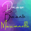 Logo ducasse brocante marconnelle