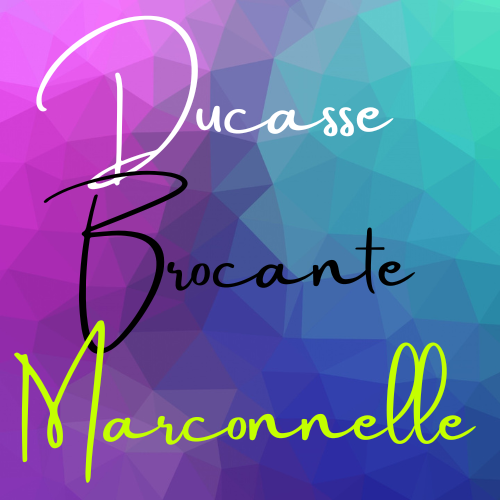 Logo ducasse brocante marconnelle